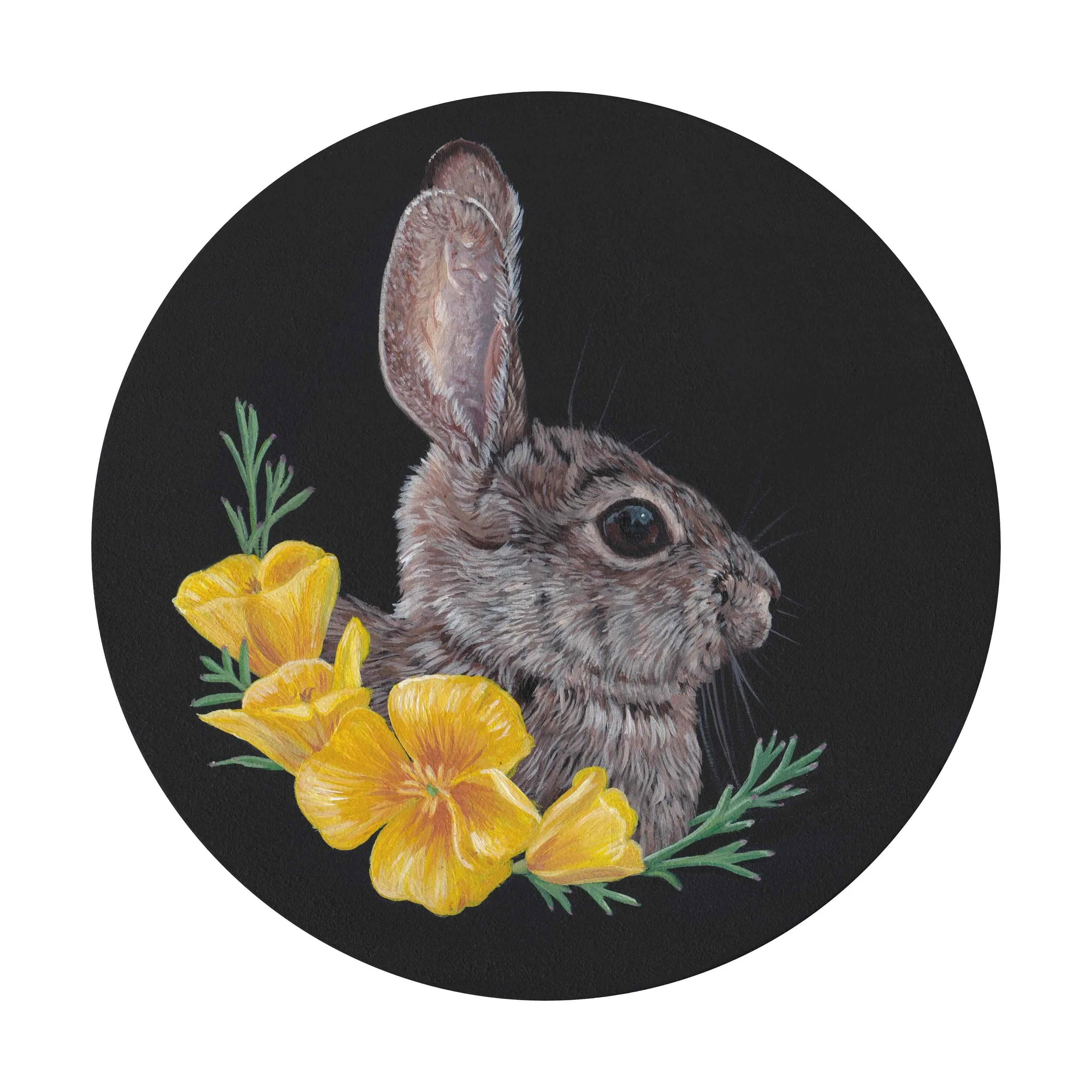 Bekah_Zeimetz_Desert_Cottontail_California_Poppy_Eugene_Oregon.jpg