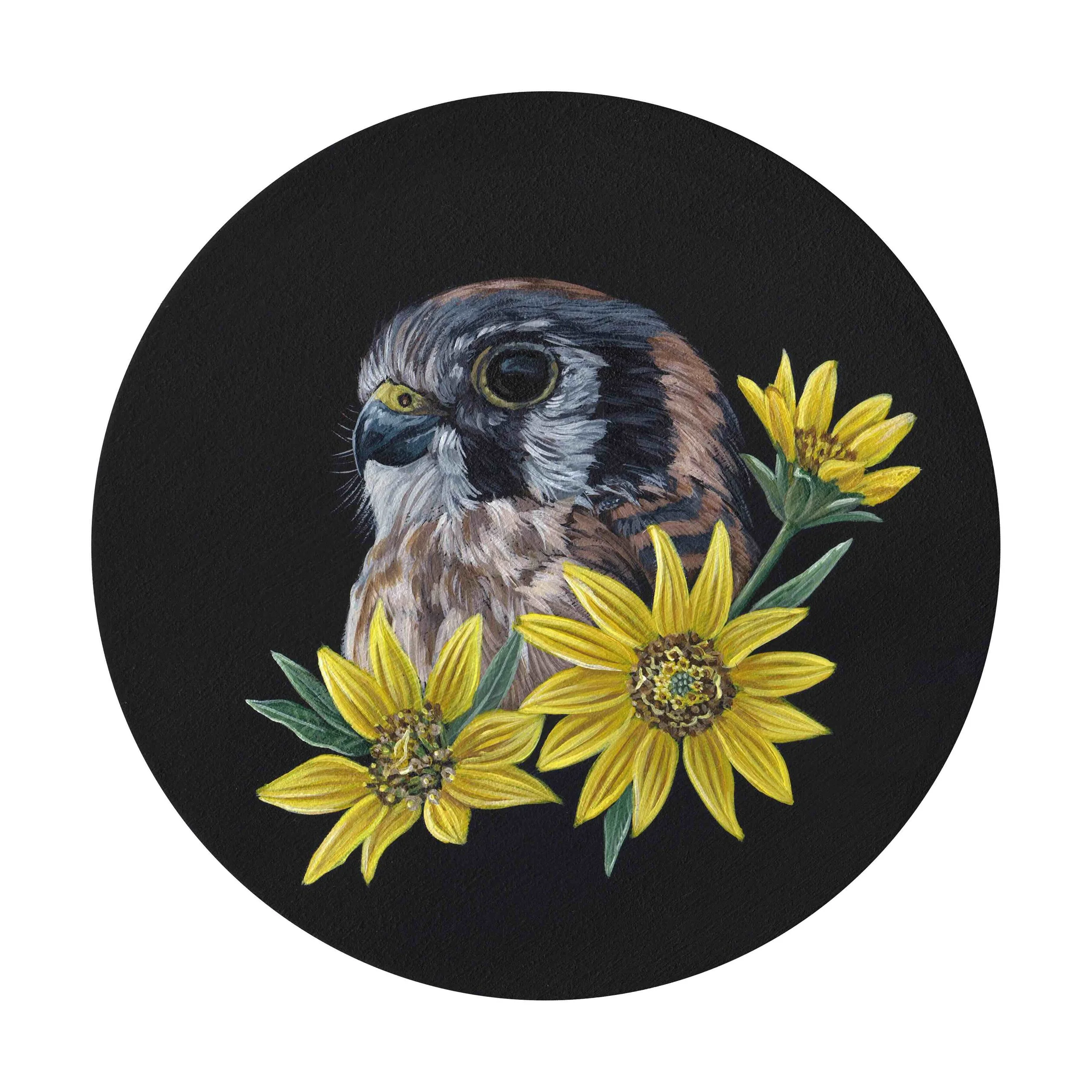 Bekah_Zeimetz_American_Kestrel_Mule's Ears_Balsamroot_Wildlife_Artist_Oregon.jpg