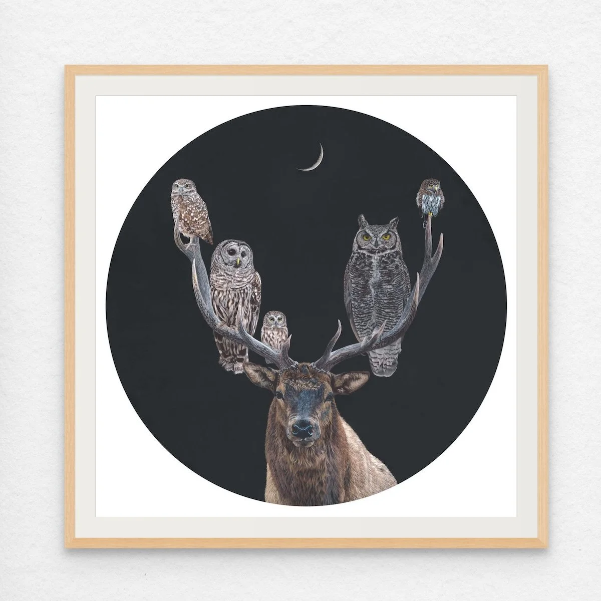 the wisdom is with you(6).jpg