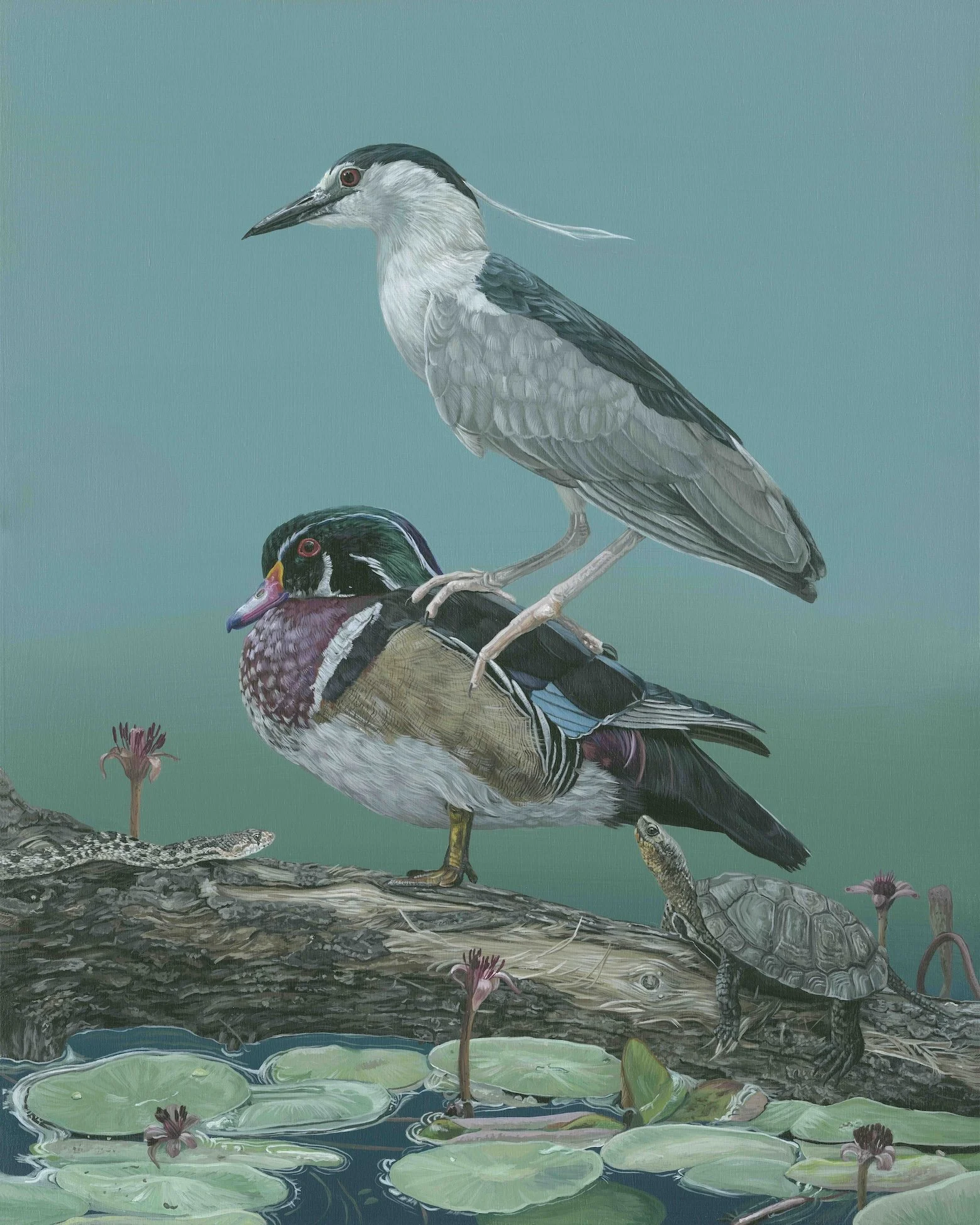 BZ Night Heron & Wood Duck 16x20 Final S_I.jpg