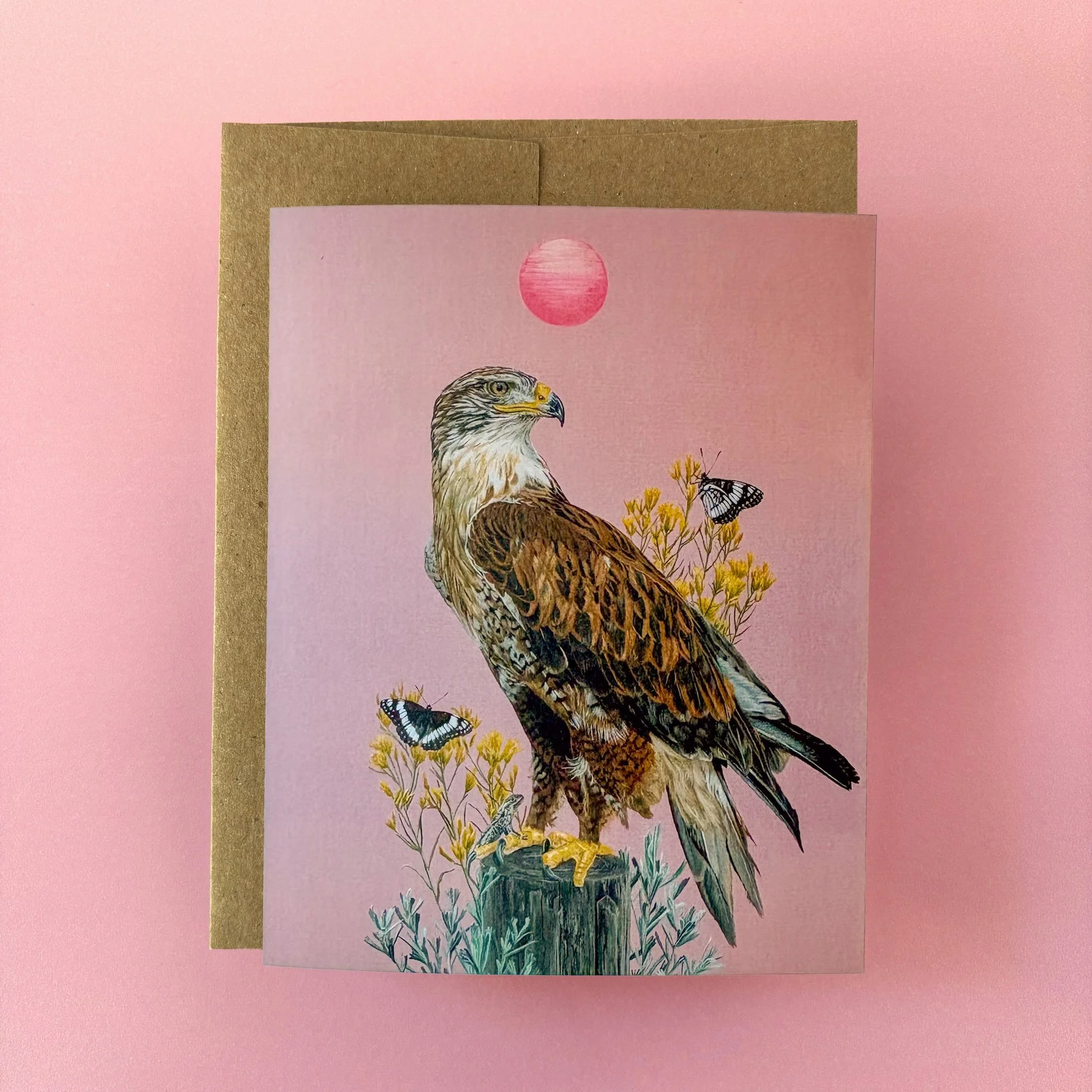 Ferruginous Hawk.jpg