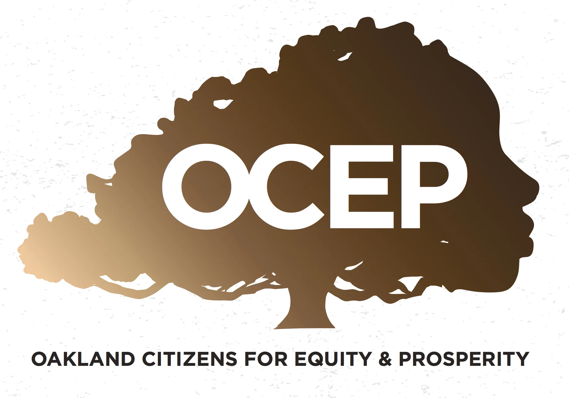OCEP Logo COLOR.jpg