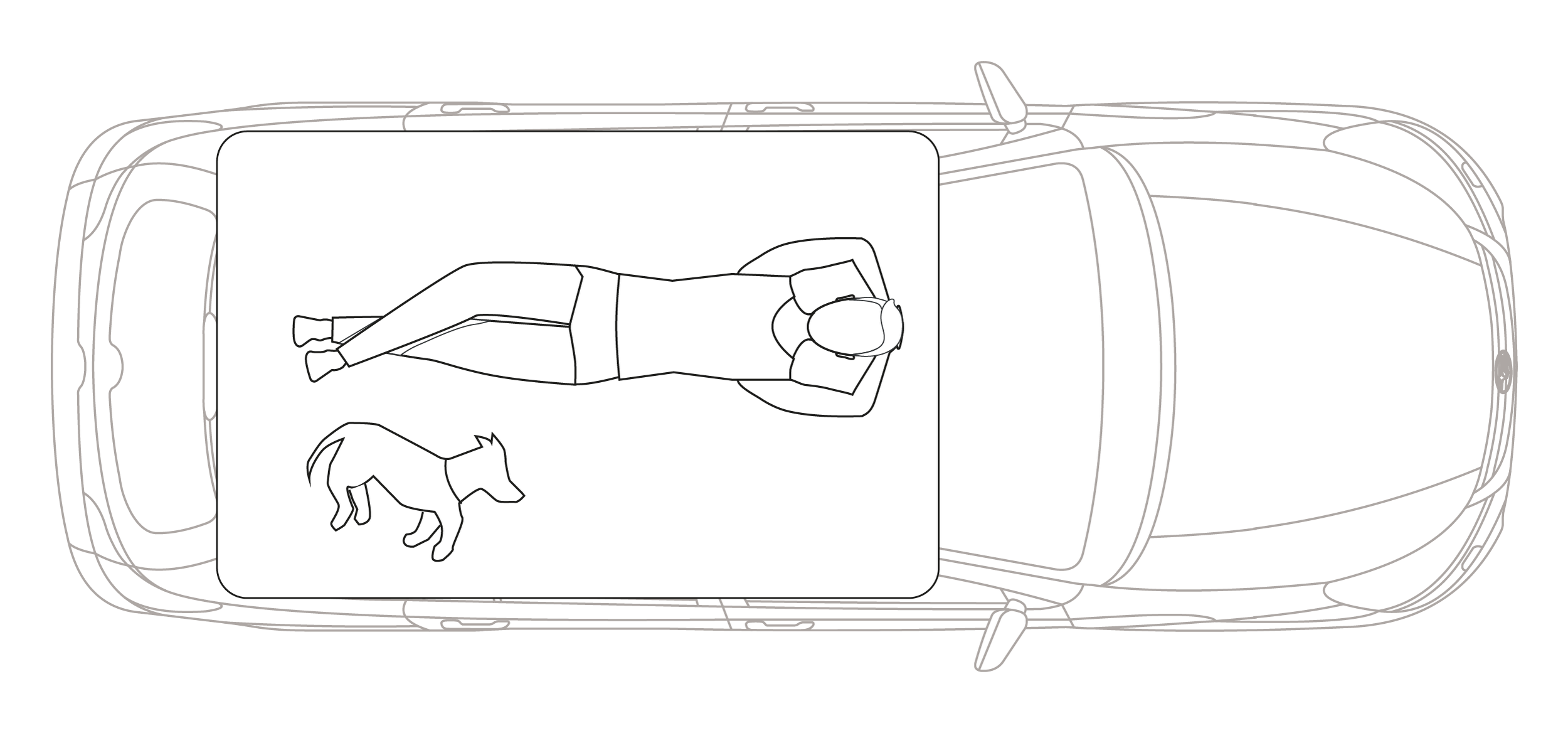 Tent Sleep Illustration_Single.png