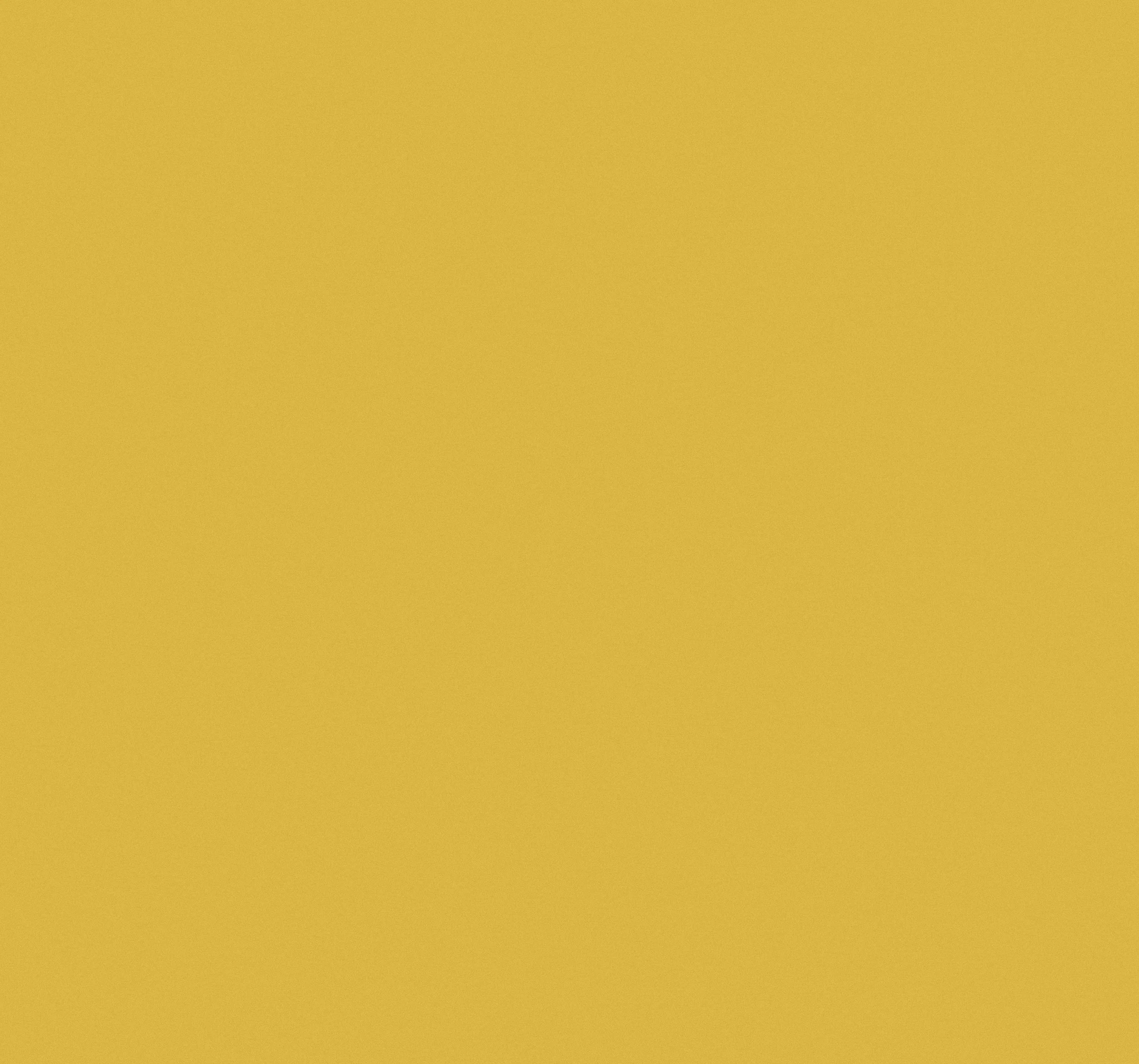yellowbg2.jpg