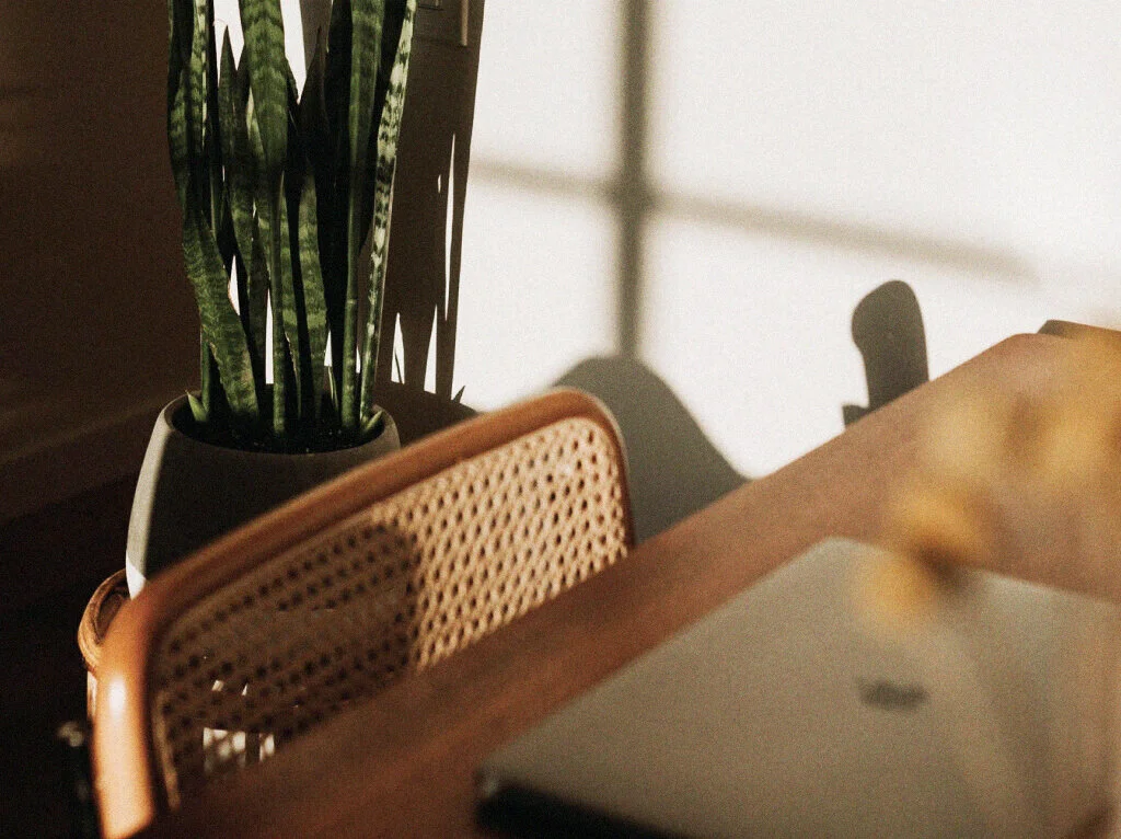 Desk_with_Plantinbackground.jpg