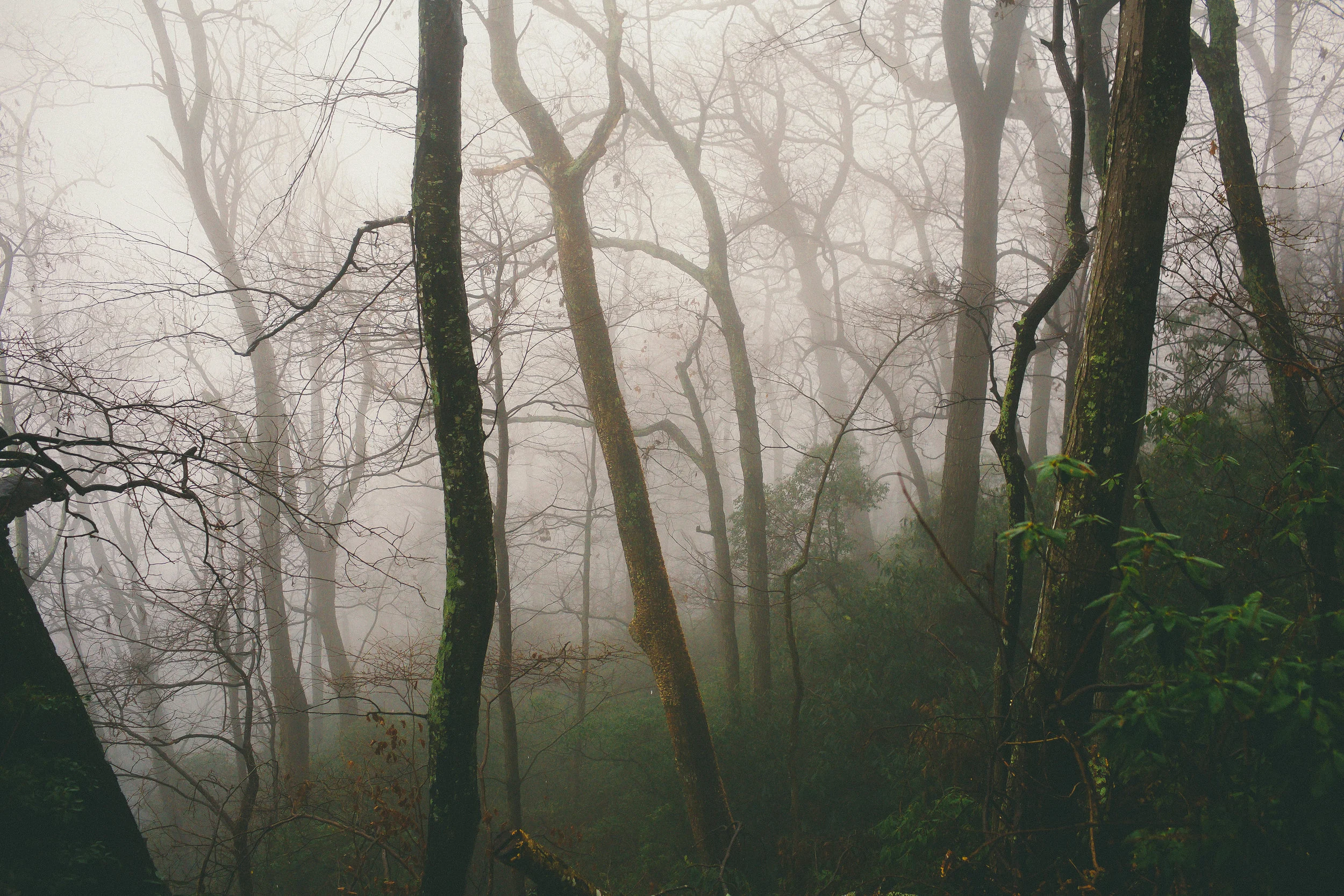 untitled (1 of 1)-30.jpg