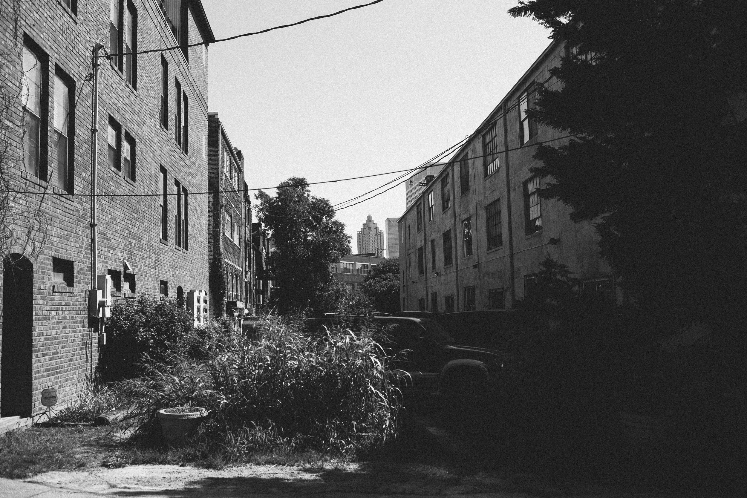 untitled (1 of 1)-93.jpg