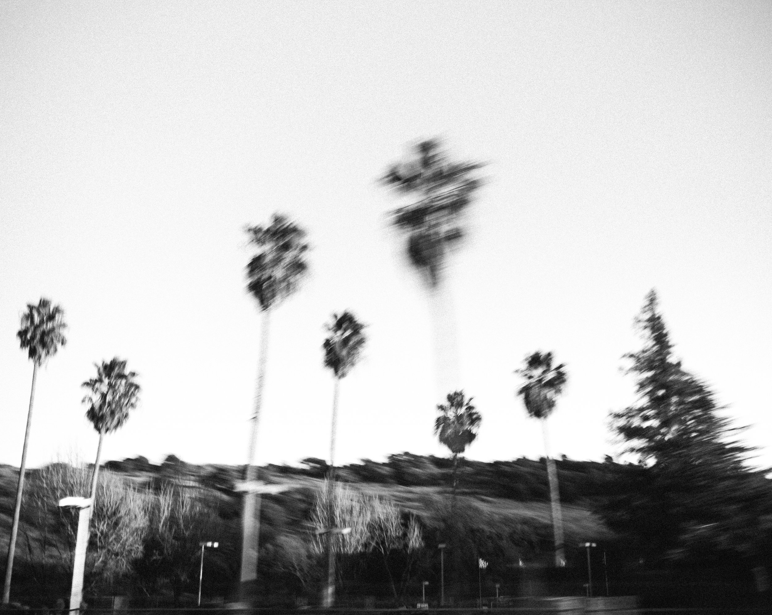 untitled (1 of 1)-2.jpg