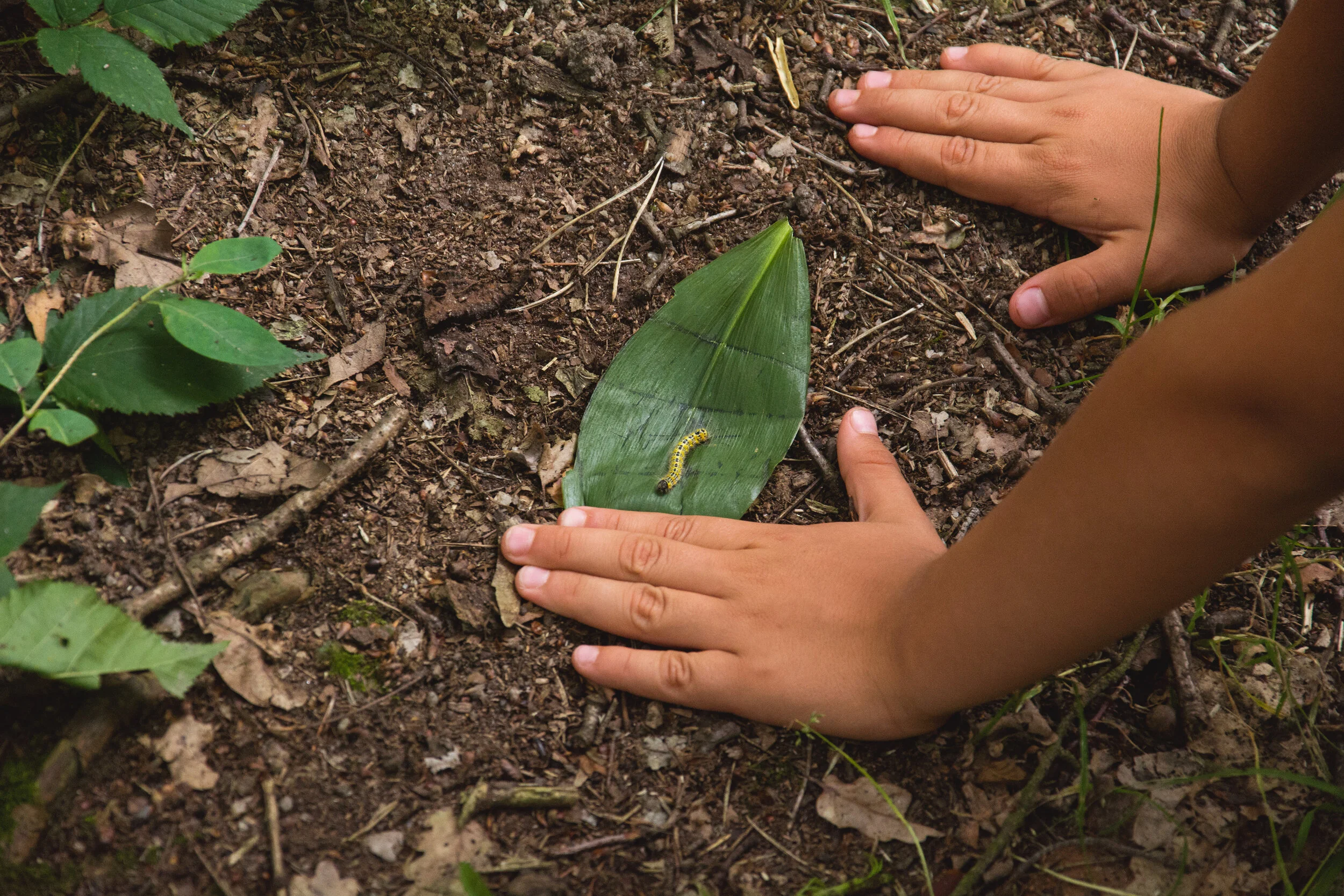 Australia | Nature-Based Mindfulness K-6