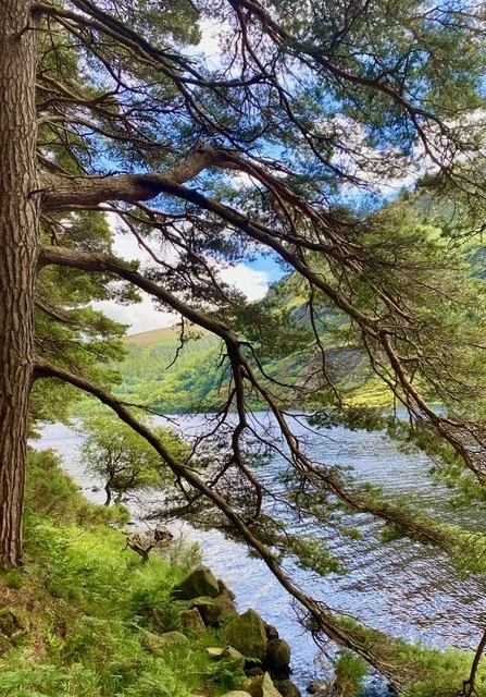 Breathing Space : 13 June 2026