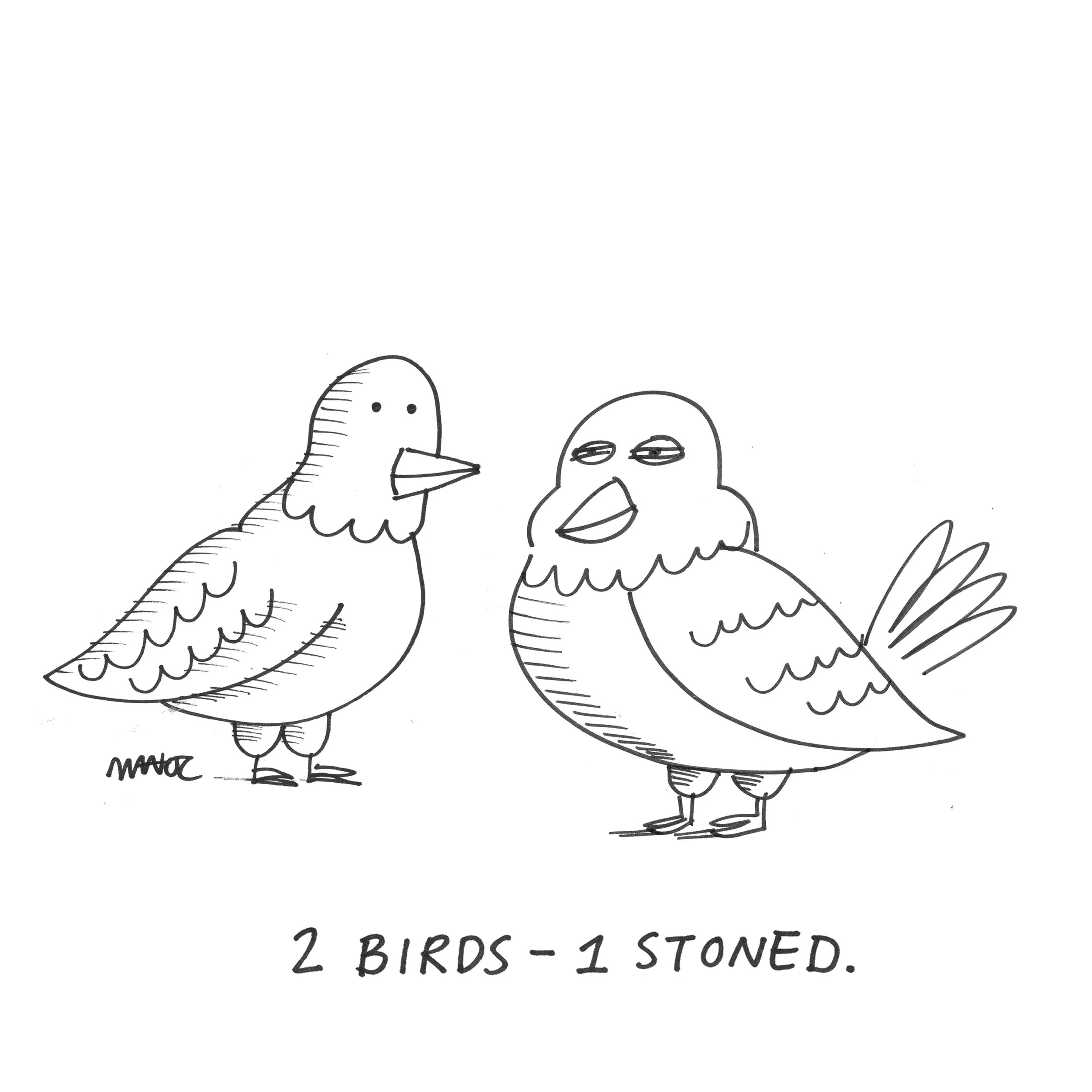 2birds1stoned.jpg