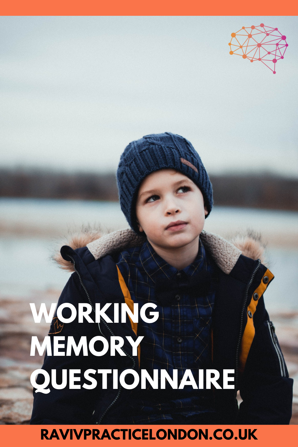 working memory questionnaire.png