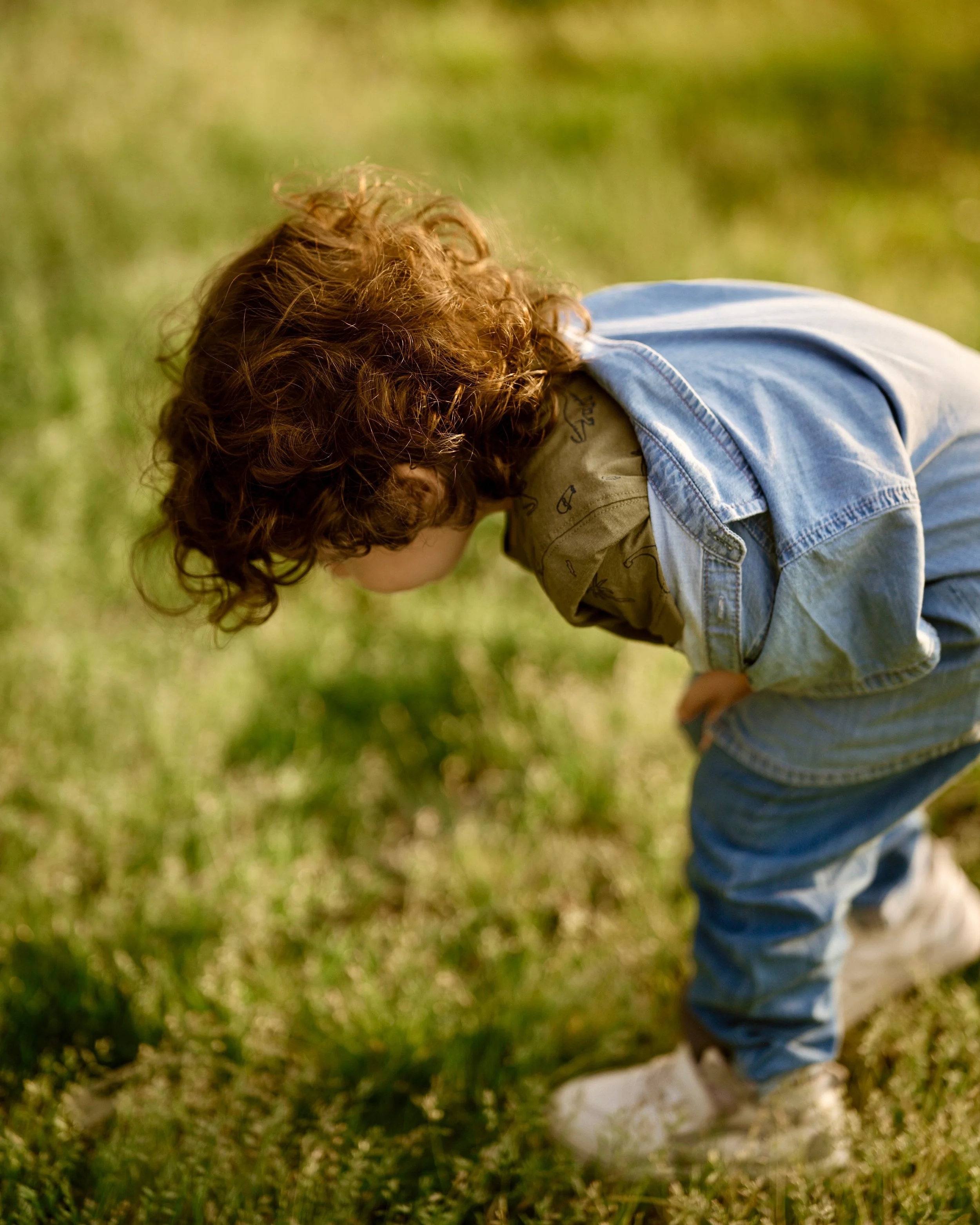 A young curious child in denim bends down to explore the grass on a sunny day.