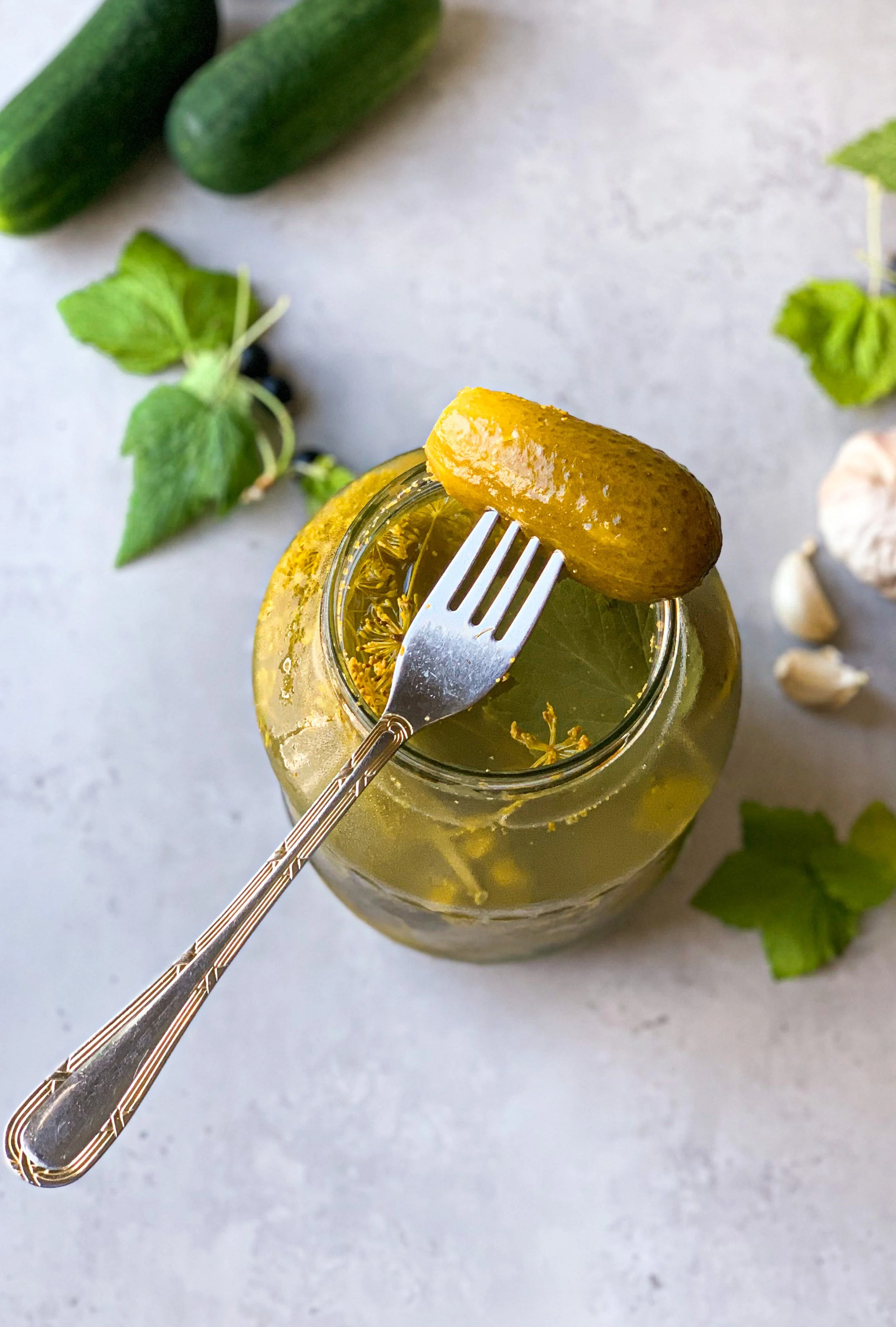 Mjölksyrad polsk saltgurka - Ogórki małosolne 