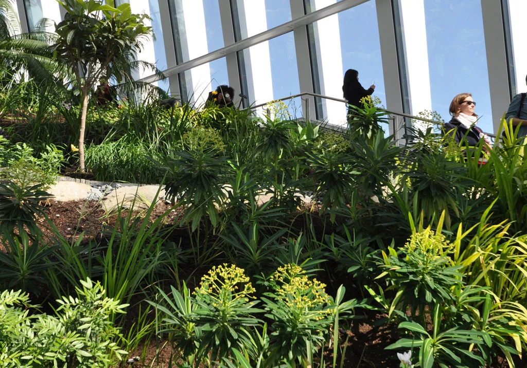 sky-gardens-8.jpg