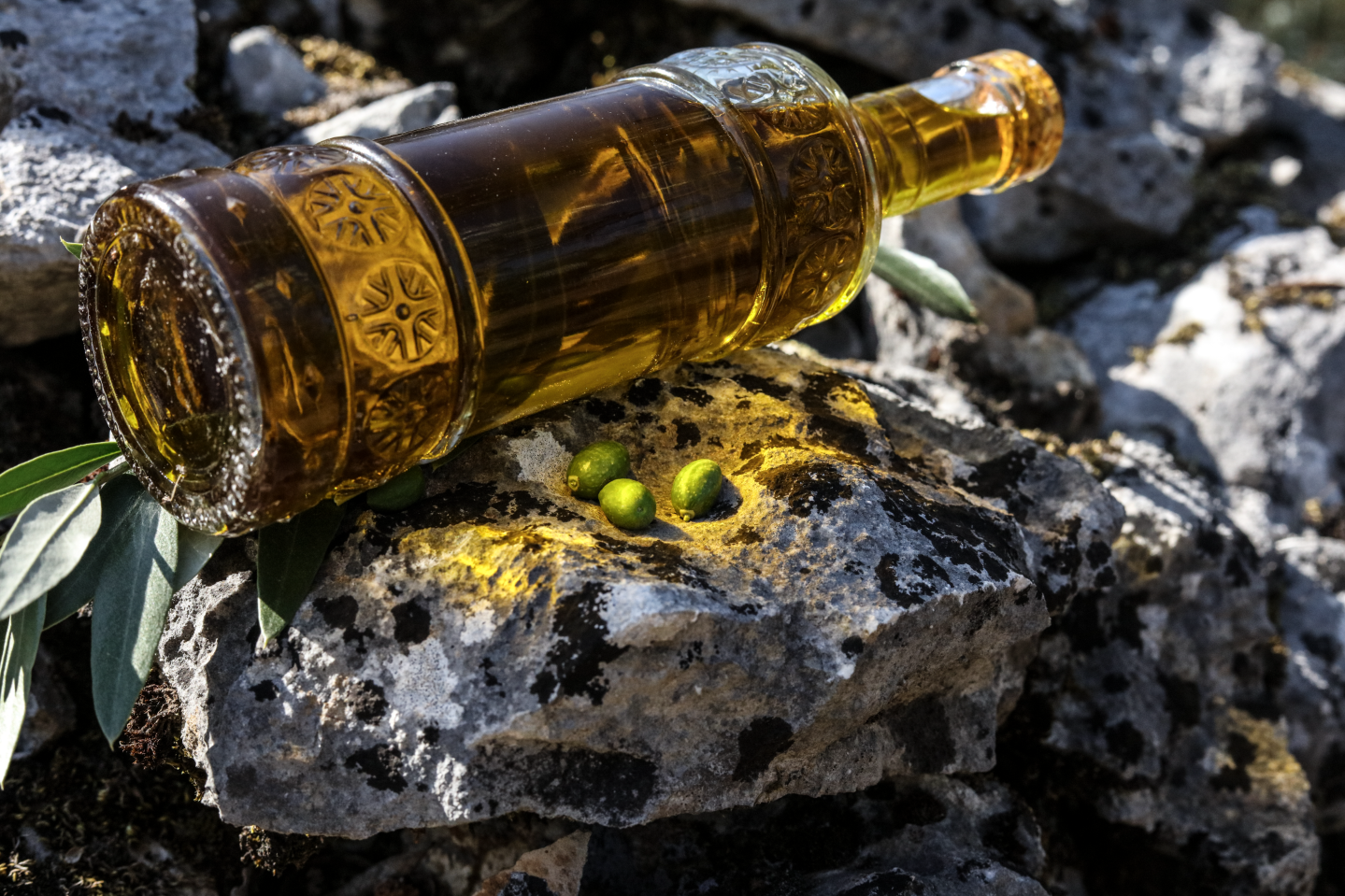 Nicolas Dondina - huile olive.png