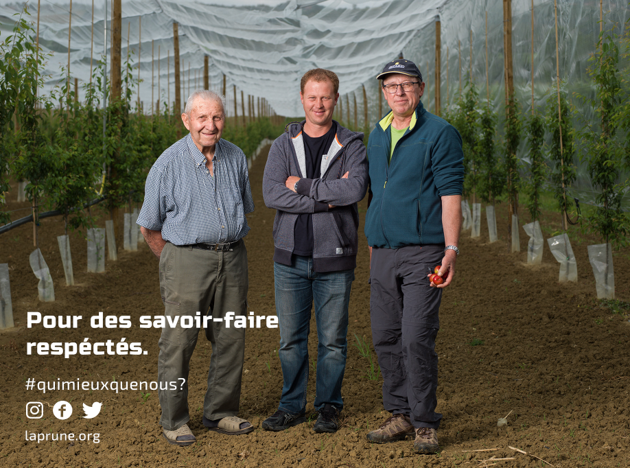 Capture d'écran 2019-06-26 12.46.41.png