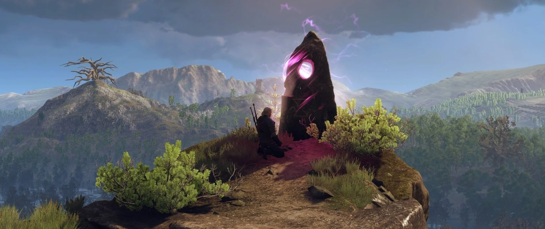 Witcher3+%2830%29.jpg