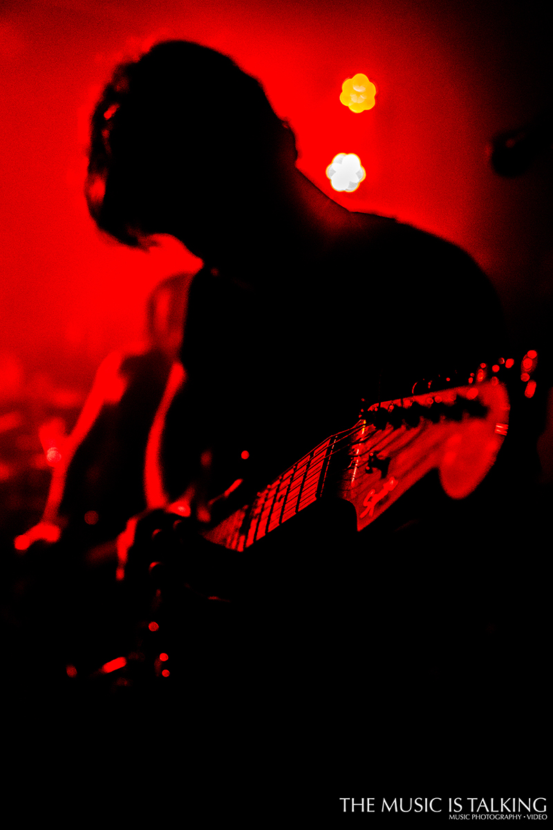 Hiboux © Alexander Hallag -6469.jpg
