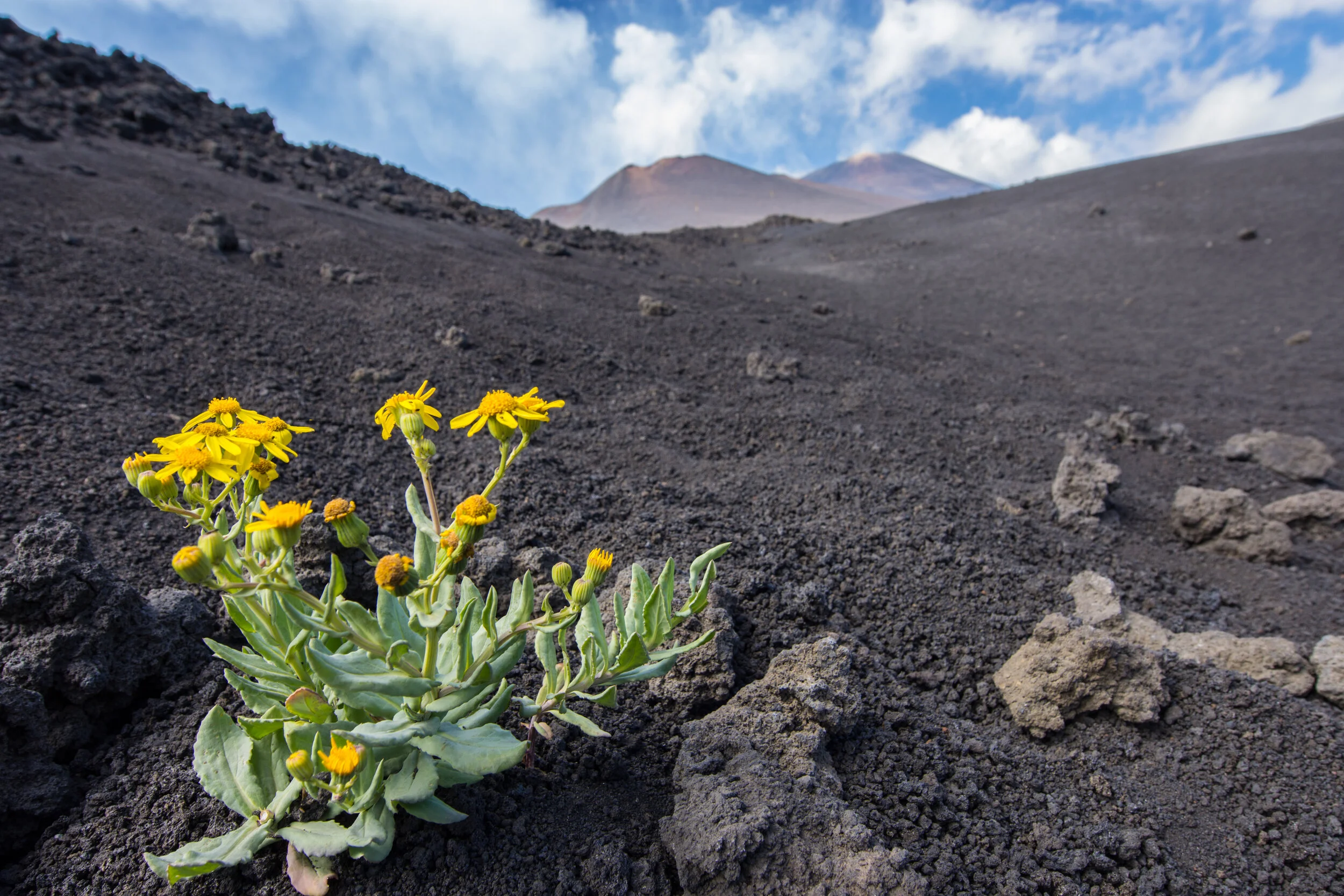 Guarda con gli occhi: l'Etna