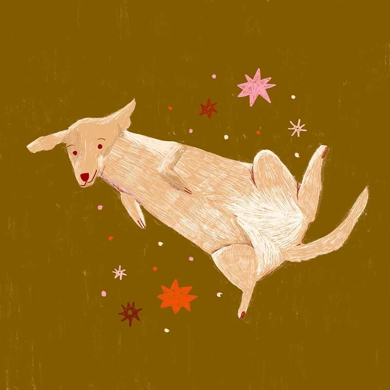 2020_Lindsey-Deschamps_Illustration_Dog_800x800.jpg
