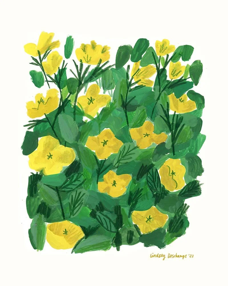 2023-02_Yellow-Primrose-Flowers_Web_800x1000.jpg