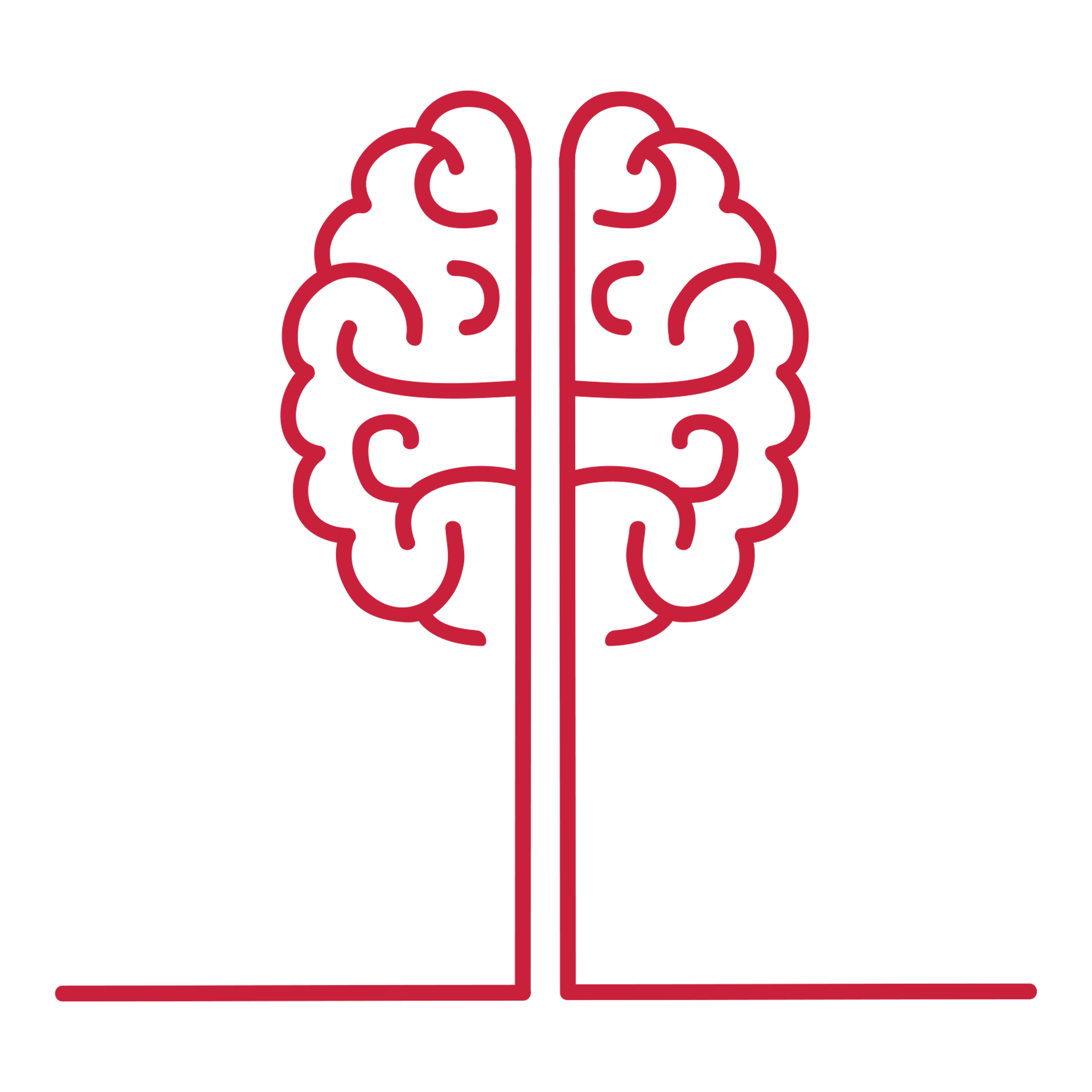 brain.png
