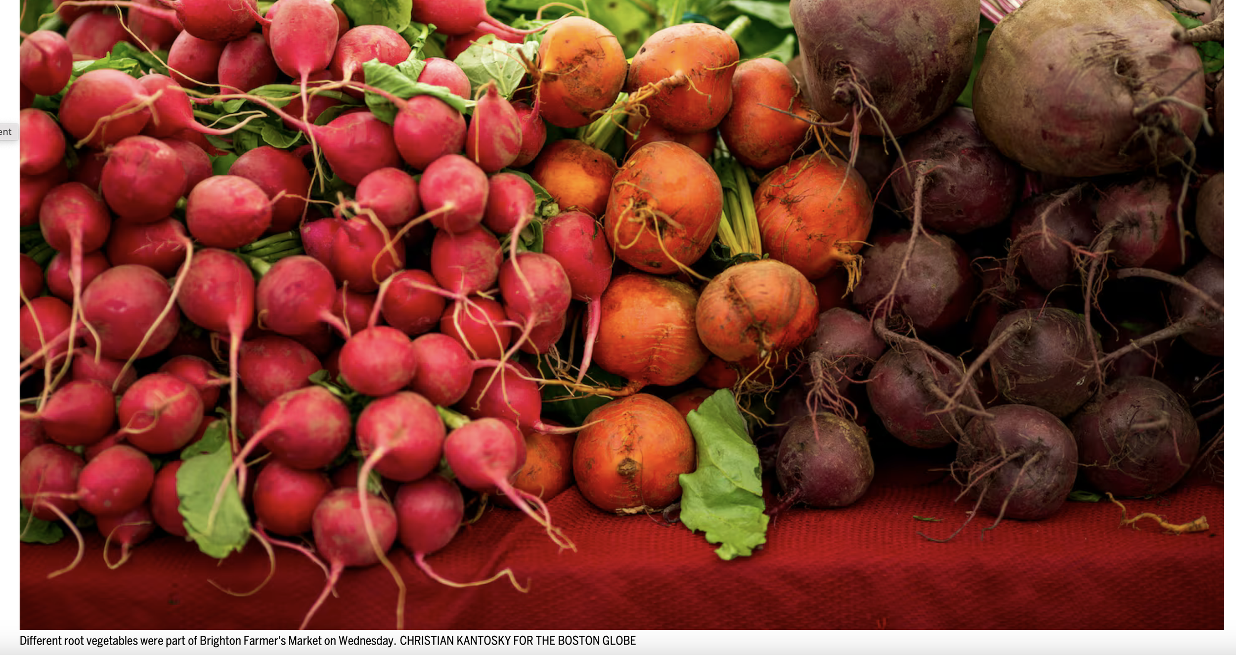 Boston Globe: As cyclospora fears grow, consumers and experts look at whether local produce is safer