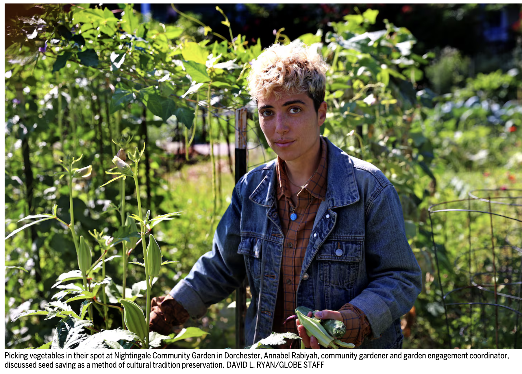 Boston Globe: Reclaiming culture one seed at a time
