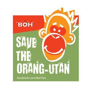save the orangutan.jpg