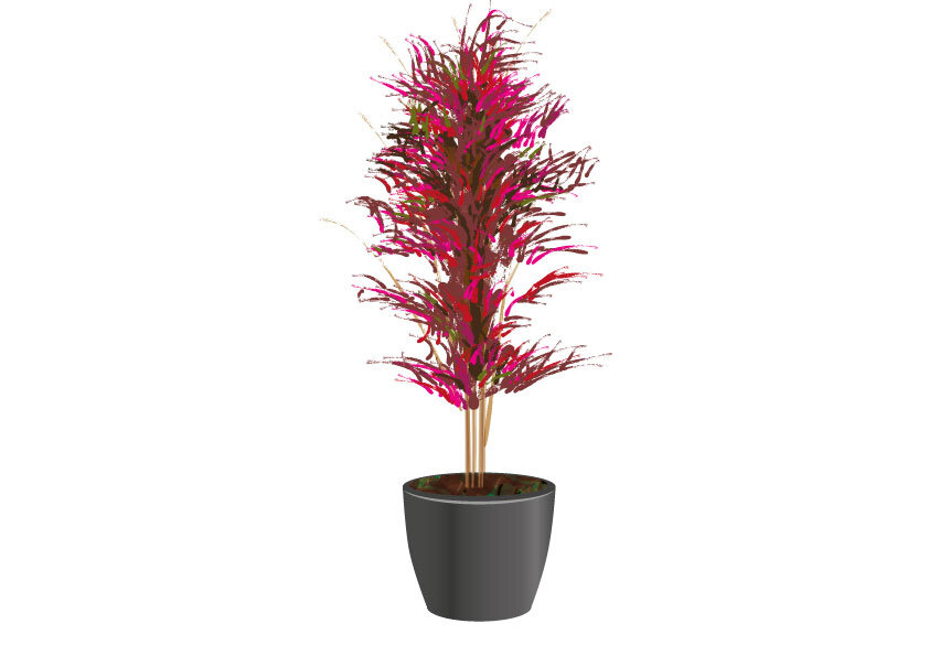 A---Bamboo-Tree-Red-&-Green-.jpg