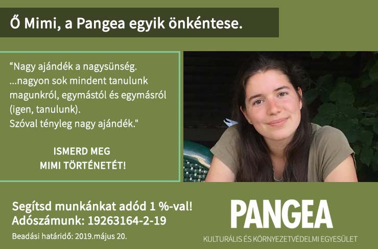 Mimi hihetetlenül türelmes, bárkinek szívesen segít, és nincs olyan helyzet, amitől zavarba jönne. "Nagy ajándék a nagysünség. Igaz, nem biztos, hogy mindig eléggé értékeli az ember, hogy 40 fokban 200+ lángost süthet, kullancsokra vadászhat, bánfalvát énekelhet a tábortűznél és meghallgathatja ugyanazt a végtelen hosszúságúnak tűnő viccet. Már a negyedik imádni való gyerektől. Nagyjából a százhuszadik alkalommal. De a tábor után olyan űr marad azok után az emberek után, akik ott körülvettek, hogy az szívszorító. Sokszor gondolkodtam, hogy miért egyedülálló ez a csapat. Arra jutottam, hogy van pár szűrő, ami a tábor és a közösség jellegéből fakad, olyanok mint az ‘önkéntesség’, ‘nomád körülmények’, ‘felelősség egy raklapnyi gyerekért’ és hasonlók, és akik ezeken a szűrőkön mind átjutnak, azok fantasztikus emberek, akikkel kiváltság együtt sziklába emésztőt ásni. És akkor ehhez a bandához csatlakozik az aprónép, akikkel felfedezzük az erdőt, kondért mosunk, kincseket keresünk, hátizsákot pakolunk, honvágyat űzünk, cinegézünk és nagyon sok mindent tanulunk magunkról, egymástól és egymásról (igen, tanulunk). Szóval tényleg nagy ajándék."