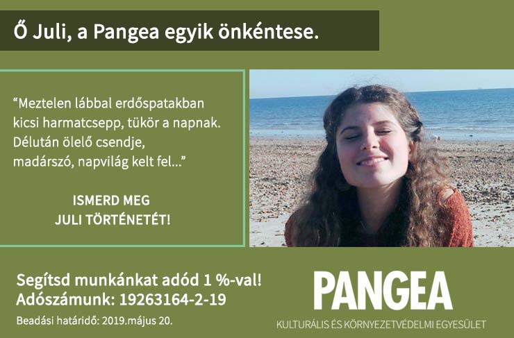 Juli Képzelni magunknak egy egész világot Titkon lenni benne Soha senki látott. Mesét, vándor, bokor mögött találsz, jóság ezer arca néz mosollyal vissza rád. Útszélről szedett porszemed nagy rakásba - itt - gond nélkül építheted. Meztelen lábbal erdőspatakban kicsi harmatcsepp, tükör a napnak. Délután ölelő csendje, madárszó, napvilág kelt fel. Keringőző parázsfények alatt Higgadt, szikkadt, Szeles, csendes, Együtt nézett Nyáréjszaka. Kavicsvárnak fala nevetésünk örök gyerekként friss mentát, zsályát kiscsokorba szedtünk. Katicabogarak szállnak mélyzöld fűszálra, Mindnek akad őt fürgén kergető mamája. Meztelen lábbal erdőspatakban kicsi harmatcsepp, tükör a napnak. Délután ölelő csendje, madárszó, napvilág kelt fel. Keringőző parázsfények alatt Higgadt, szikkadt, Szeles, csendes, Együtt nézett Nyáréjszaka. Lepkeéletként vége a mesének, lehunyja szitakötőszemét a télre. Kővárból kavicsot ragadva Bogár visz el egyet Beültetni másik kupacba.