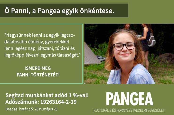 Panni “2012-ben voltam először kissün, és tavalyelőtt először nagysün. Azóta minden évem fénypontja a nyár közepe, amikor a Süni tábor van és elszakadhatok a külvilágtól egy picit, még ha ez csak tíz nap is. Nagysünnek lenni az egyik legcsodálatosabb élmény, gyerekekkel lenni egész nap, játszani, túrázni és legfőképp élvezni egymás társaságát. Aki eljön a Süni táborba, mindig vágyik vissza vagy pozitív emlékként marad meg neki a tábor. A gyerekek emlékeit, beszámolóit hallgatni a táborokról a legjobb dolog a világon.”
