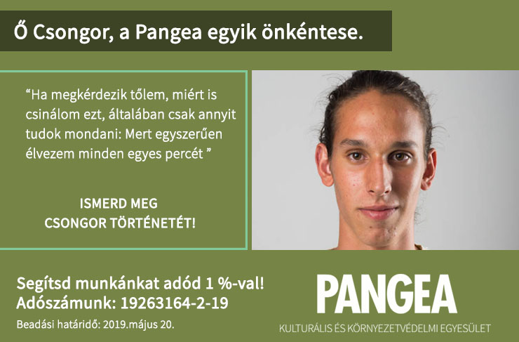 Csongor “Őszintén megmondva nem nagyon emlékszem az első Süni táboromra. Tudom, hogy egy 8 éves, nagyon pici gyerek voltam, aki imádott a szabadban játszani, és bármit megevett, amit elé raktak. Ez a 2 tulajdonság az elkövetkező években csak megerősödött bennem, és minden egyes évben azt eredményezte, hogy a kedvenc 9 napomon egy meleg, büdös sátorban aludtam valamelyik testvéremmel, akikkel 2 percet nem bírtunk ki veszekedés nélkül, és eszméletlenül jól éreztem magamat. Azóta eltelt 12 év, és szerencsésnek mondhatom magamat annyira, hogy tavaly, egy pár év kihagyás után ismét átélhettem ezt a páratlan élményt. Azt vettem észre, hogy ennyi idő után ugyanannyira tudom élvezni a délelőtti túrázásokat, a délutáni nagy játékokat, és valahogy a kondérban főzött ételek sem lettek kevésbé finomak. Emellett nagysünként kiváló érzés látni a gyerekeket, ugyanazt az élményt átélni, ami nekem is megadatott gyermekkoromban. Ha megkérdezik tőlem, miért is csinálom ezt, általában csak annyit tudok mondani: Mert egyszerűen élvezem minden egyes percét ennek a 9 napnak.”