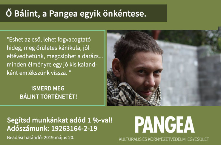 Bálint “Én 10 évesen voltam először Süni táborban, és akkora élményt jelentett, hogy azóta minden évben ez jelenti a nyaralást, a legmeghatározóbb nyári programot. Azóta már kisfiam is követi ezt a példát, kedvenc tábora a Süni. Ezek a táborok valóban megváltoztatják a gyerekek gondolkodásmódját, és egy olyan közösséget teremtünk, ami egy életre szól. Eshet az eső, lehet fogvacogtató hideg, meg őrületes kánikula, jól eltévedhetünk, megcsíphet a darázs... minden élményre egy jó kis kalandként emlékszünk vissza. Hiába, no, a Süni Tábor a legjobb buli! Én személy szerint nemcsak a társaság miatt járok vissza, hanem mert a környezeti nevelésnek ez a legfantasztikusabb módja: az erdőkről az erdőkben kell beszélgetni. És így megmenthetjük a Földet.”