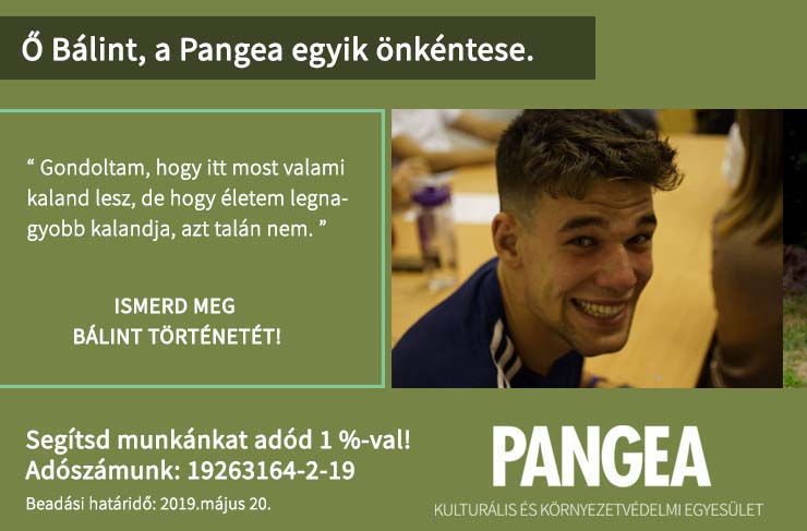 Bálint ”Amikor 2006-ban 9 évesen először álltam a nálam kétszer nagyobb hátizsákommal a vasútállomáson, nagyon-nagyon izgultam. Gondoltam, hogy itt most valami kaland lesz, de hogy életem egyik legnagyobb kalandja, azt talán nem. Nem tudtam, hova megyünk, mit fogunk csinálni, miért is jó ez igazából nekem és miért kellett előző nap a zuhany alatt egy esőkabátban állnom, miközben anya fröcskölte rám a vizet. Igen össze voltam zavarodva, de amint láttam érkezni a rengeteg gyereket hátizsákkal, sátorral és bakanccsal pont olyannak tűntek, mint én. Így már igazán semmi baj nem lehet. Innentől már csak a kíváncsiság maradt, de az egészen máig. Idén mit tartogat számunkra a Süni tábor? A nyár közeledtével egyre többet agyalok ezen. Az idei tábor igen különleges lesz. Zádorvárra megyünk, itt táboroztam süniként először és sündörgőként utoljára. Mindig is ezt a táborhelyet szerettem a legjobban az összes közül, ez volt számomra a legizgalmasabb. Egész évben azt várom, hogy újra láthassam, átéljem és megmutathassam a régi dolgokat, helyeket a kissünjeimnek. Mesélhessek nekik a várban lezajlott számháborúkról és a középkori barbárdinnye ceremóniáról. Vagy amikor Sündörgőben elaludtam csillagászat programon mert aznap irtó hosszút túráztunk és aztán loholnom kellett a sötétben a többiek után. Legeslegjobbakat mindig a táborban lehet aludni, ezt is imádom.”