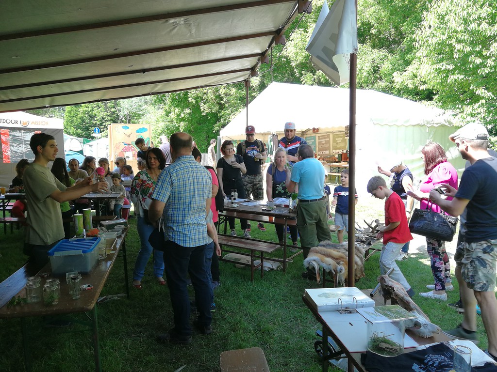 Szuper volt az idei első BioBlitz! Lesz még...