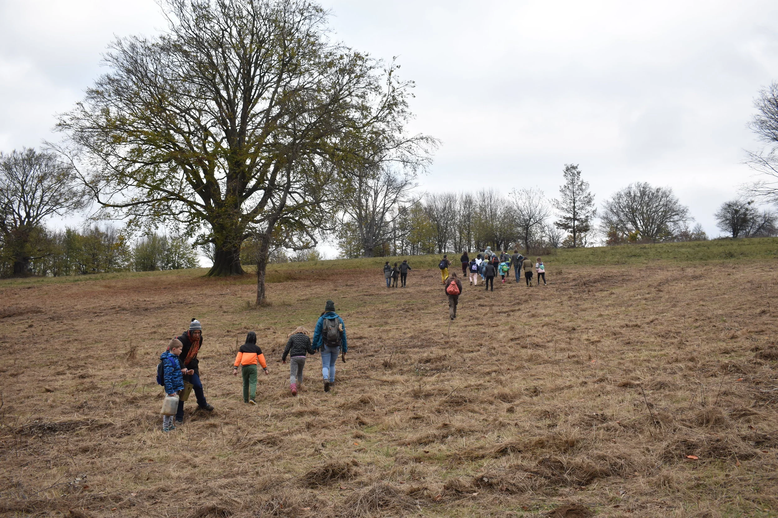 Élménytábor sok-sok élménnyel