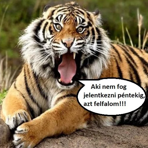 Meghosszabbított jelentkezési határidő péntekig!
