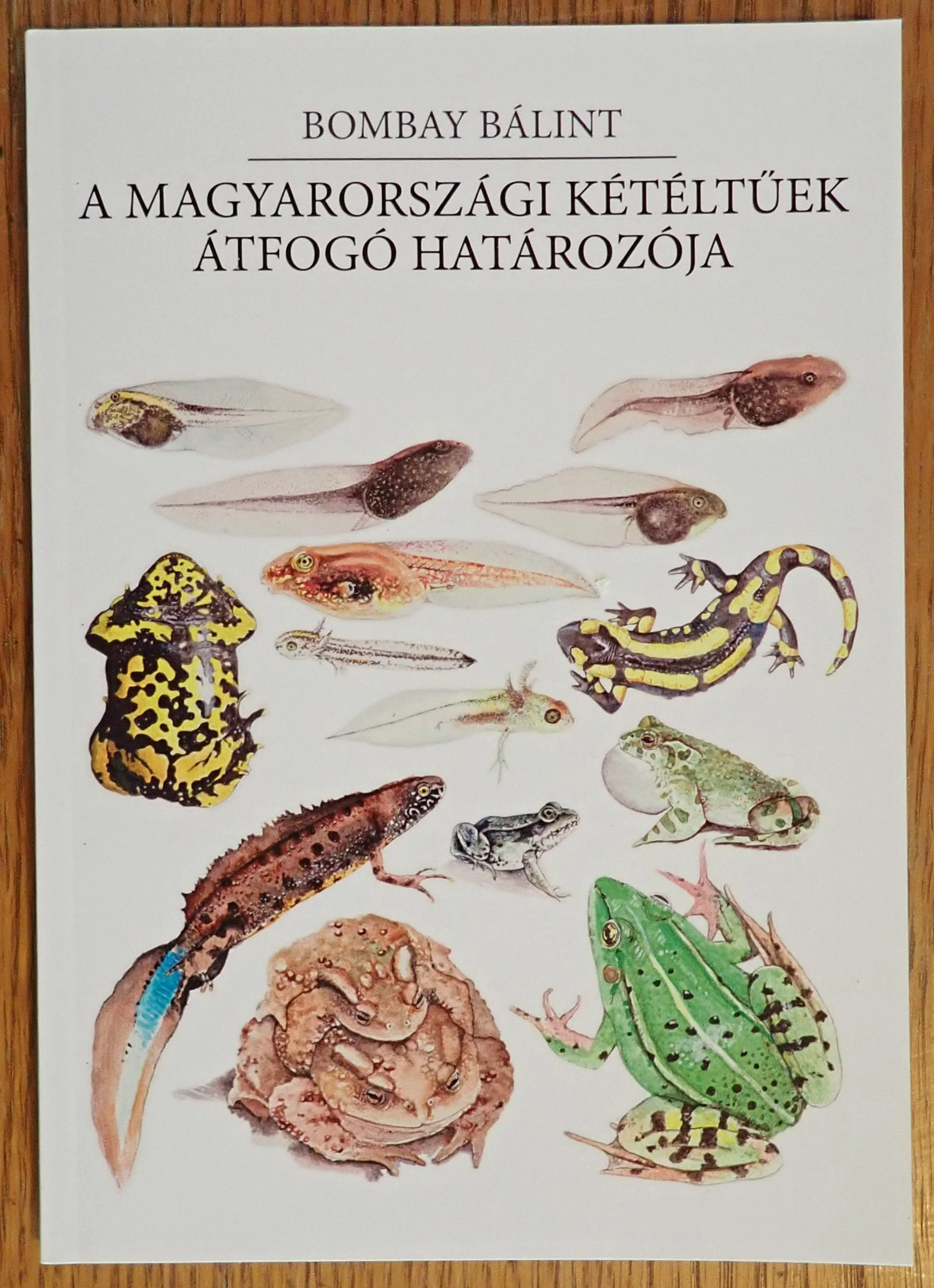 Megjelent a Magyarországi kétéltűek átfogó határozója!