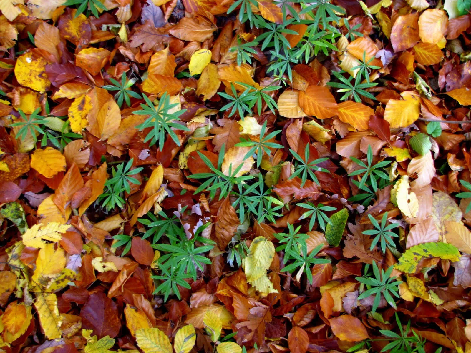 Avartúrás! Jelentkezés!