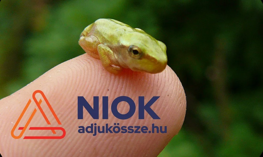 A mi kis kerti tavunk projekt