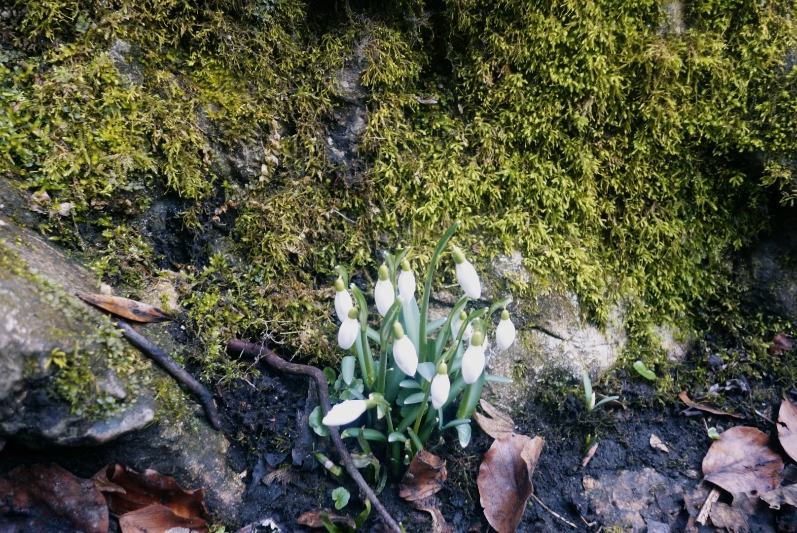 Fagyhaláltúra, ahol nem fagytunk meg idén se