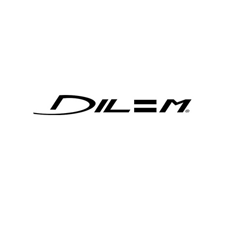 Dilem Logo.jpg