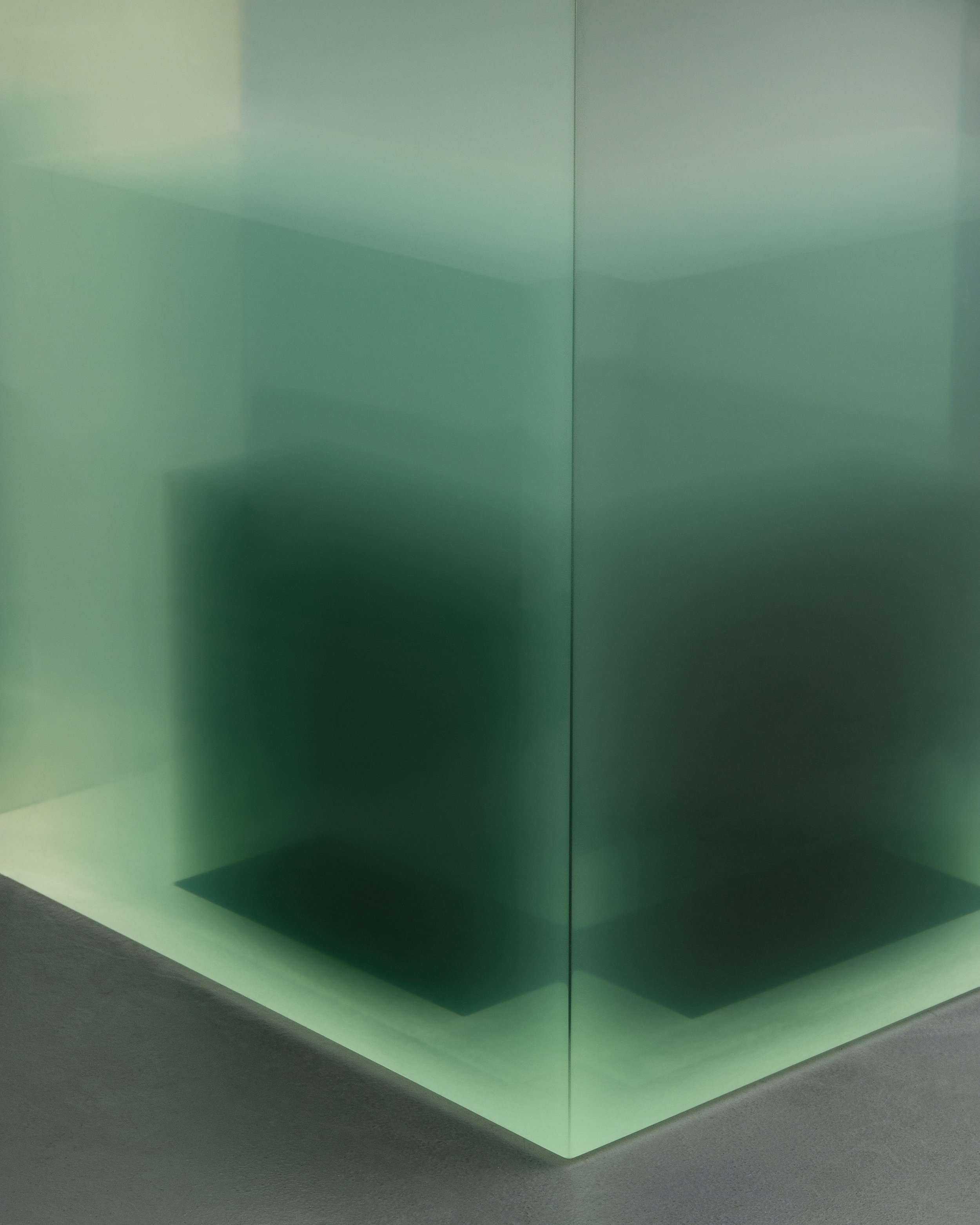B99CE496-25E3-4D7D-8533-3280FD915CF3.jpeg