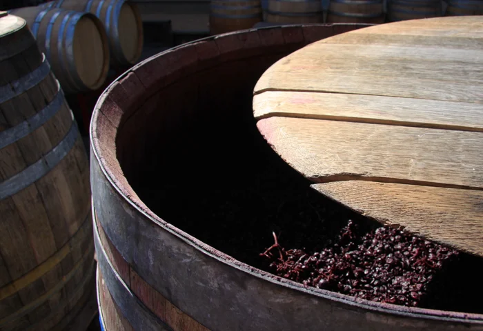The Alchemy of Wine