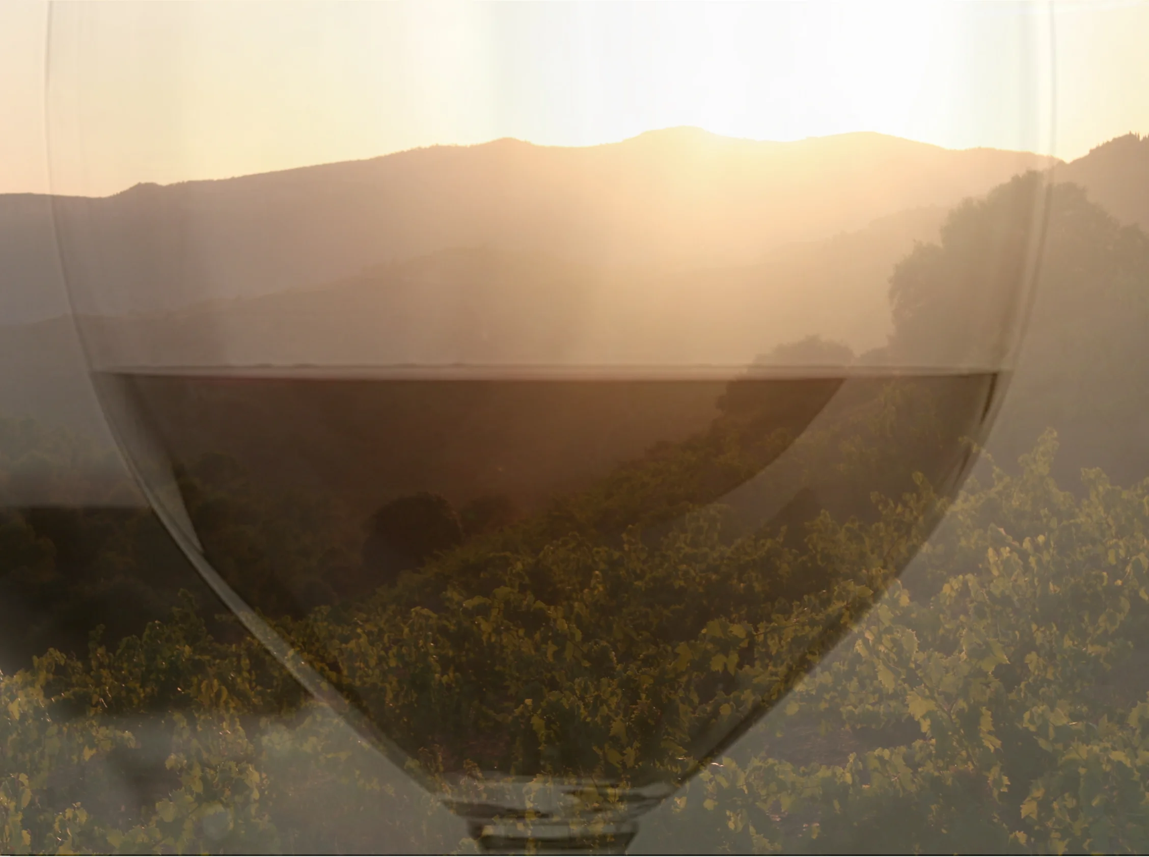 Visceral Intelligence