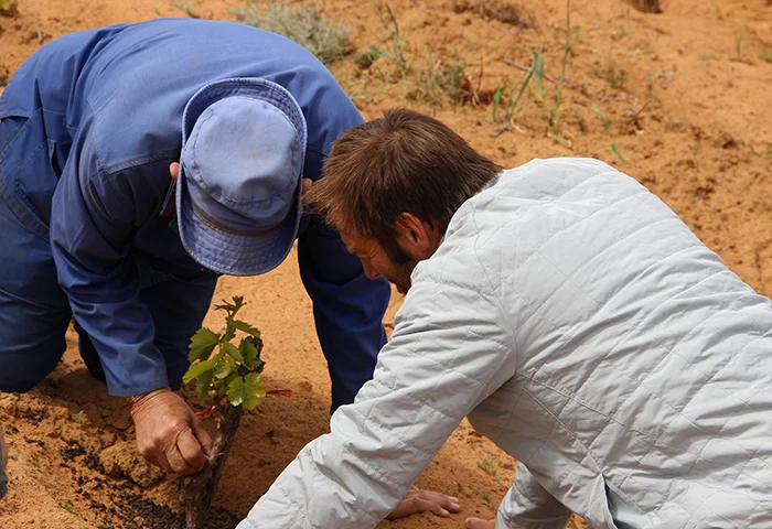 An Intimate Connection