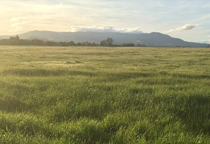 A Place to Call Home